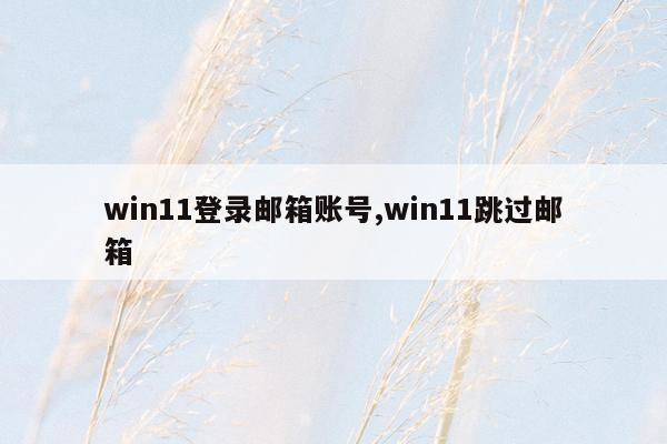 win11登录邮箱账号,win11跳过邮箱