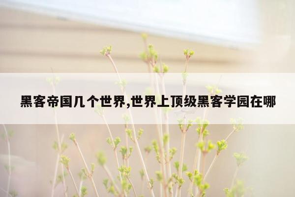 黑客帝国几个世界,世界上顶级黑客学园在哪