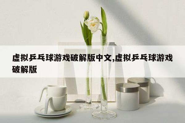 虚拟乒乓球游戏破解版中文,虚拟乒乓球游戏破解版