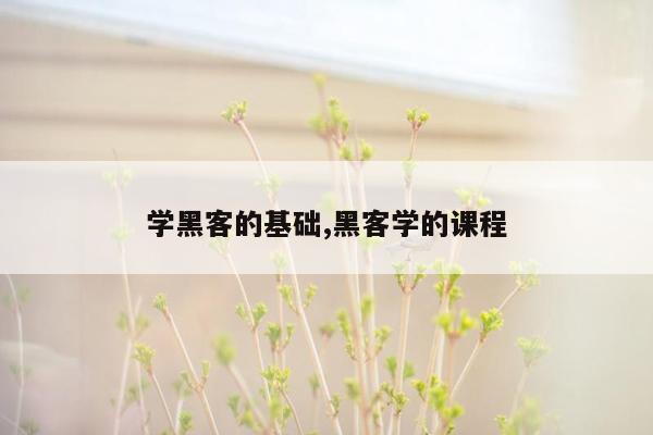 学黑客的基础,黑客学的课程