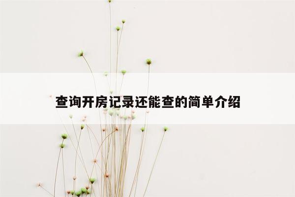 查询开房记录还能查的简单介绍