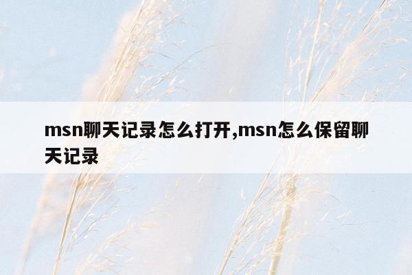 msn聊天记录怎么打开,msn怎么保留聊天记录