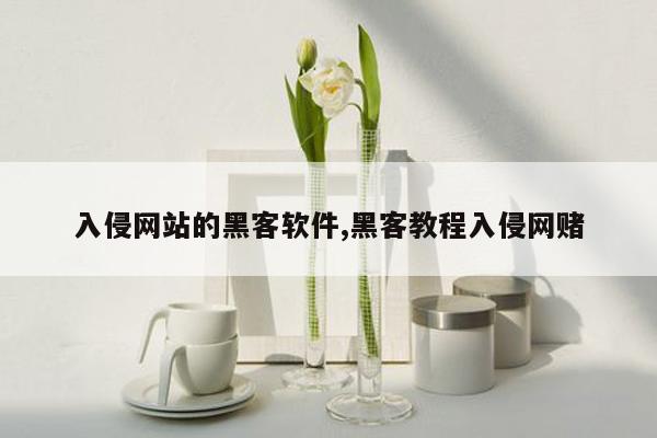 入侵网站的黑客软件,黑客教程入侵网赌