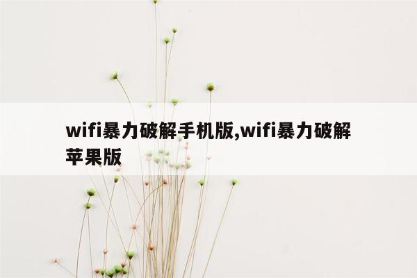 wifi暴力破解手机版,wifi暴力破解苹果版