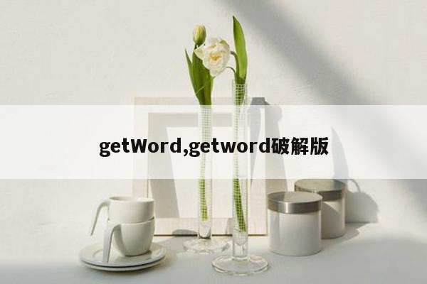 getWord,getword破解版