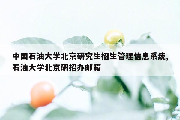 中国石油大学北京研究生招生管理信息系统,石油大学北京研招办邮箱