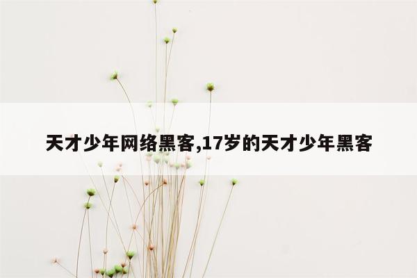 天才少年网络黑客,17岁的天才少年黑客