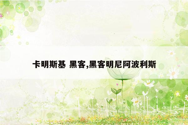 卡明斯基 黑客,黑客明尼阿波利斯