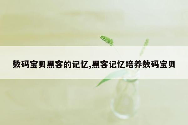 数码宝贝黑客的记忆,黑客记忆培养数码宝贝