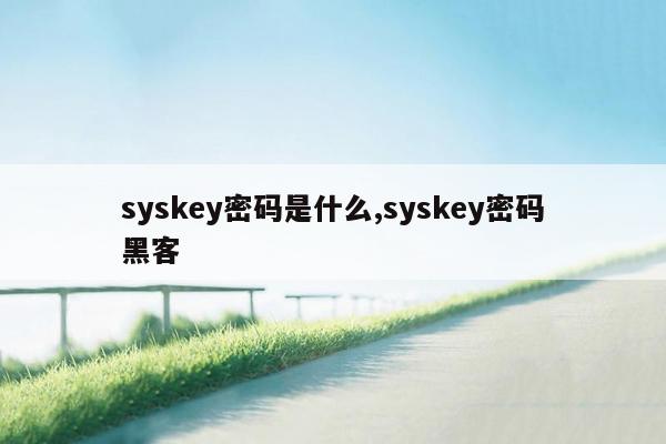 syskey密码是什么,syskey密码黑客