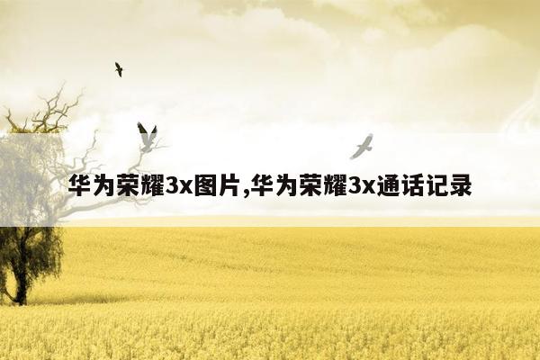华为荣耀3x图片,华为荣耀3x通话记录