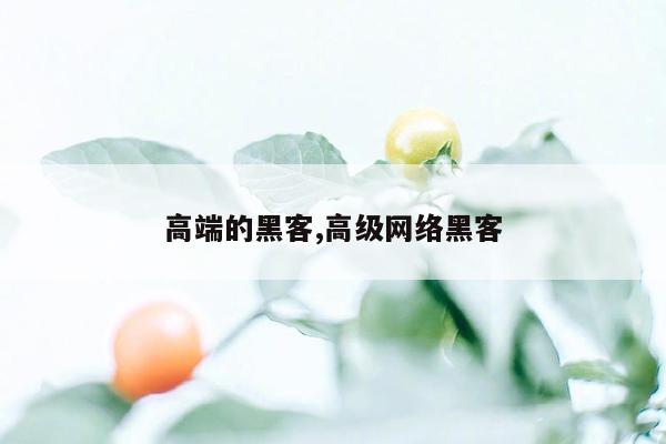 高端的黑客,高级网络黑客