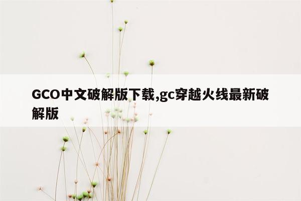 GCO中文破解版下载,gc穿越火线最新破解版