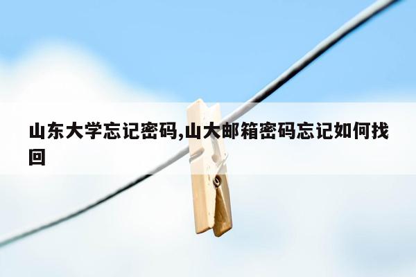 山东大学忘记密码,山大邮箱密码忘记如何找回