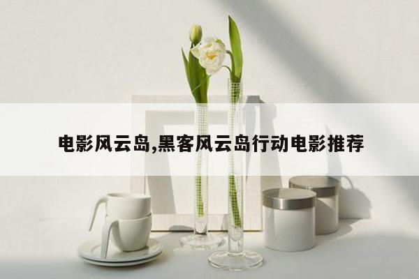 电影风云岛,黑客风云岛行动电影推荐