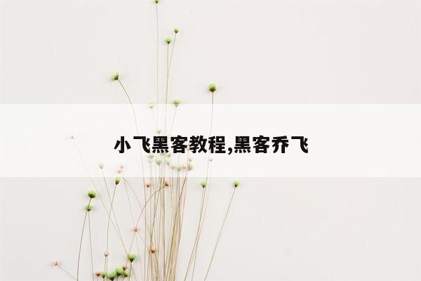 小飞黑客教程,黑客乔飞