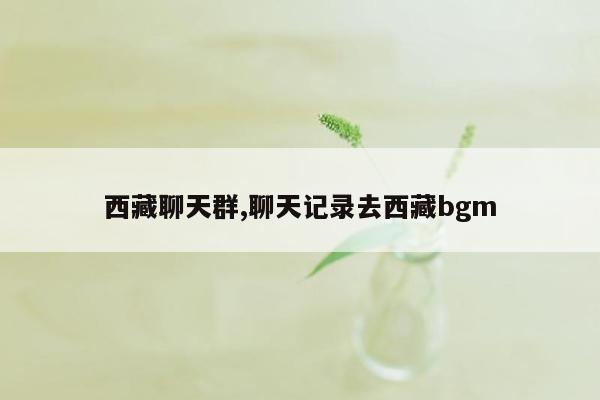 西藏聊天群,聊天记录去西藏bgm