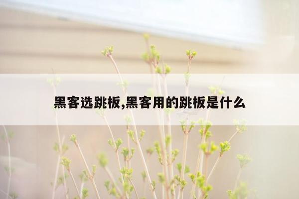 黑客选跳板,黑客用的跳板是什么