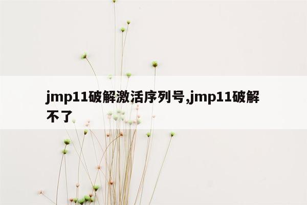 jmp11破解激活序列号,jmp11破解不了