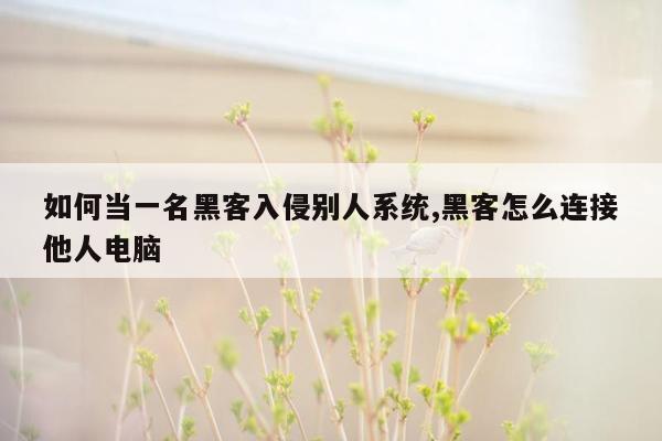 如何当一名黑客入侵别人系统,黑客怎么连接他人电脑