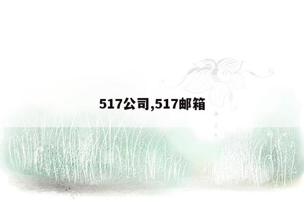 517公司,517邮箱