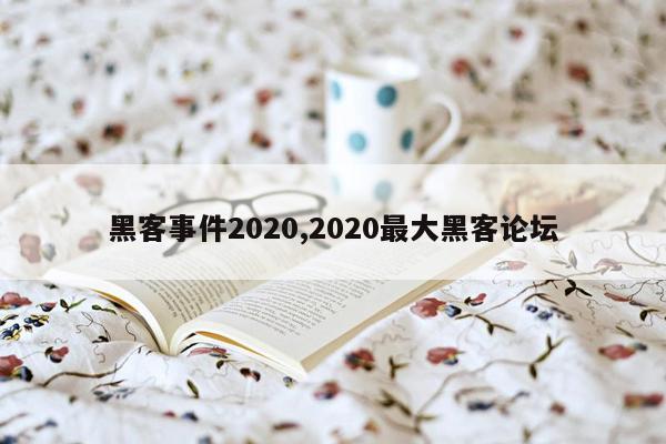 黑客事件2020,2020最大黑客论坛