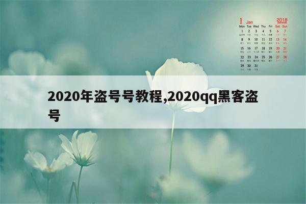 2020年盗号号教程,2020qq黑客盗号