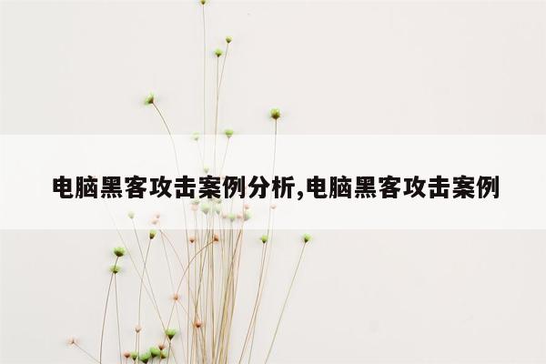 电脑黑客攻击案例分析,电脑黑客攻击案例