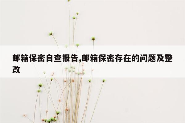 邮箱保密自查报告,邮箱保密存在的问题及整改