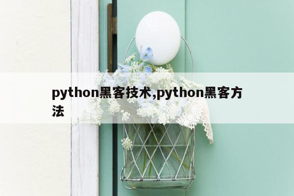 python黑客技术,python黑客方法