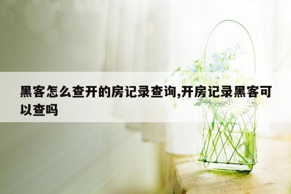 黑客怎么查开的房记录查询,开房记录黑客可以查吗