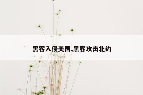 黑客入侵美国,黑客攻击北约