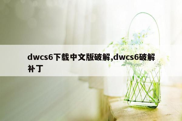 dwcs6下载中文版破解,dwcs6破解补丁