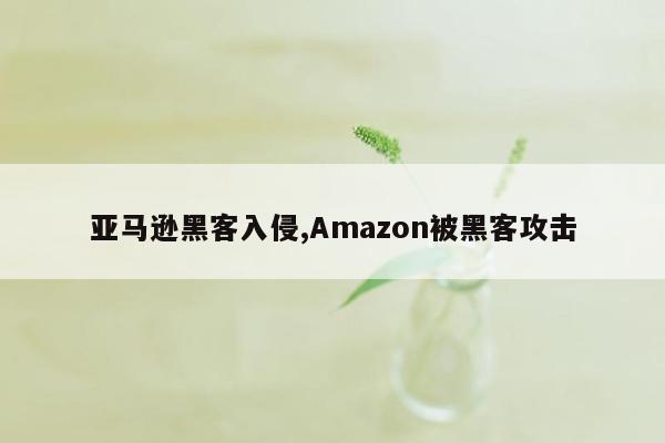 亚马逊黑客入侵,Amazon被黑客攻击