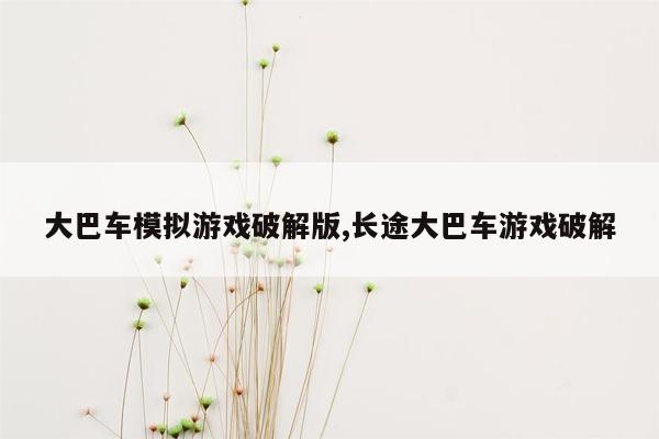 大巴车模拟游戏破解版,长途大巴车游戏破解