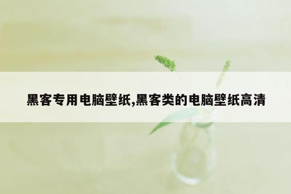 黑客专用电脑壁纸,黑客类的电脑壁纸高清