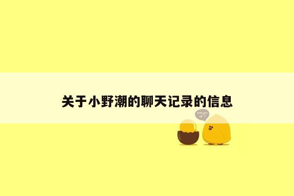 关于小野潮的聊天记录的信息