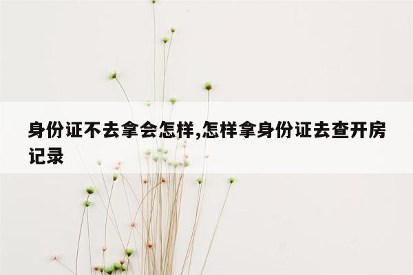 身份证不去拿会怎样,怎样拿身份证去查开房记录