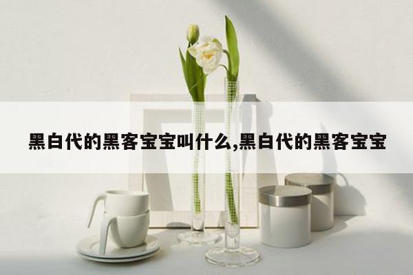 黑白代的黑客宝宝叫什么,黑白代的黑客宝宝