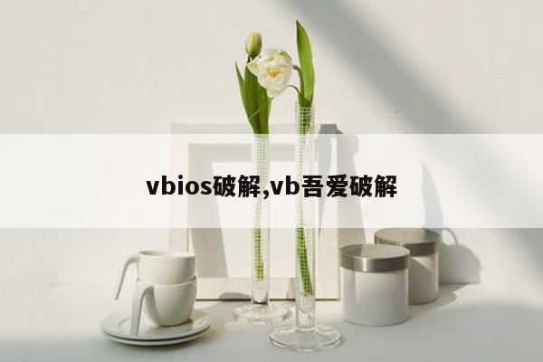 vbios破解,vb吾爱破解