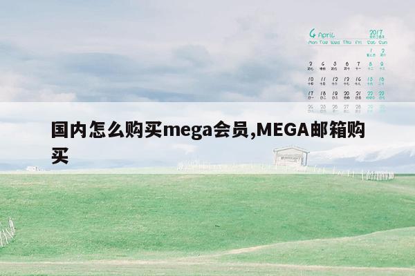 国内怎么购买mega会员,MEGA邮箱购买