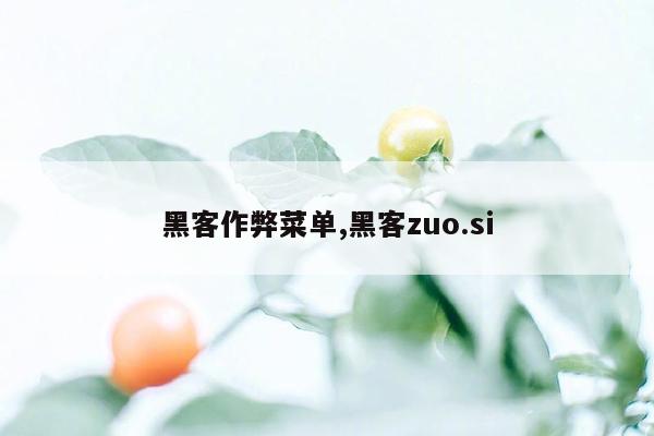 黑客作弊菜单,黑客zuo.si