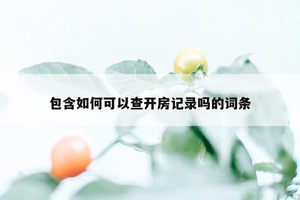 包含如何可以查开房记录吗的词条