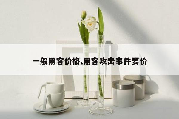 一般黑客价格,黑客攻击事件要价