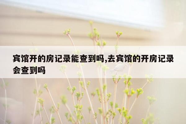 宾馆开的房记录能查到吗,去宾馆的开房记录会查到吗