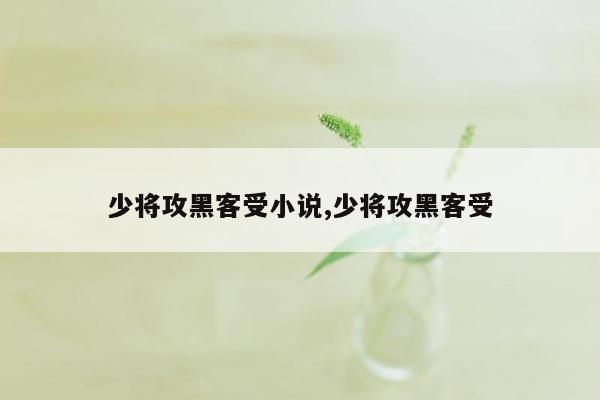 少将攻黑客受小说,少将攻黑客受