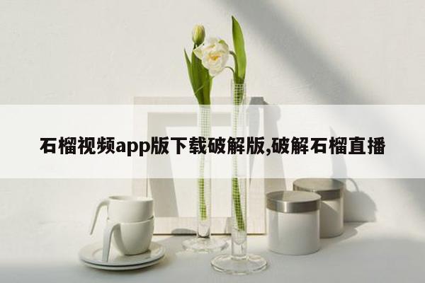 石榴视频app版下载破解版,破解石榴直播