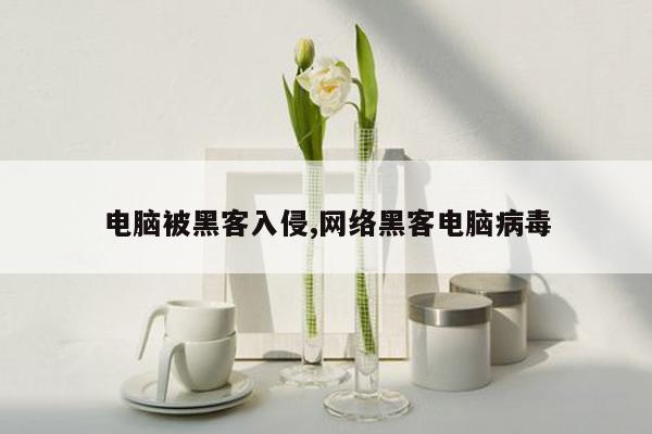 电脑被黑客入侵,网络黑客电脑病毒