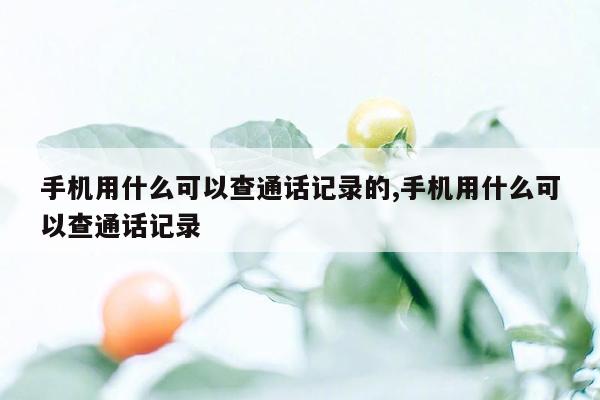 手机用什么可以查通话记录的,手机用什么可以查通话记录