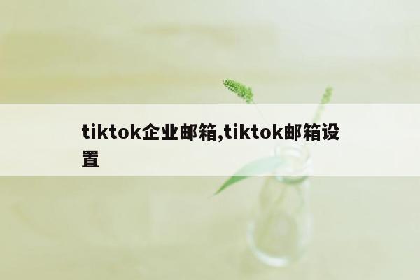 tiktok企业邮箱,tiktok邮箱设置